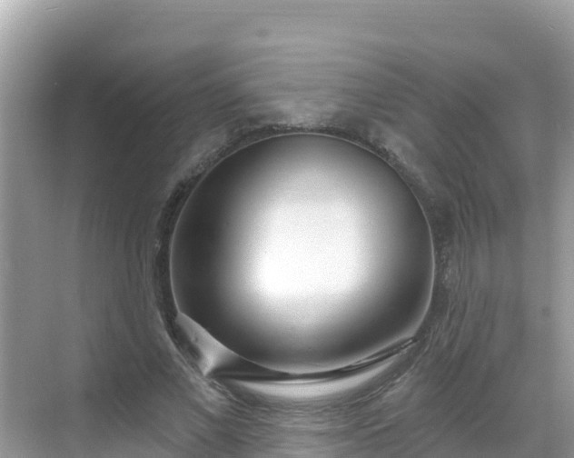 X0000068770685200605051632