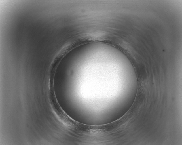 X0000068770686200605051632