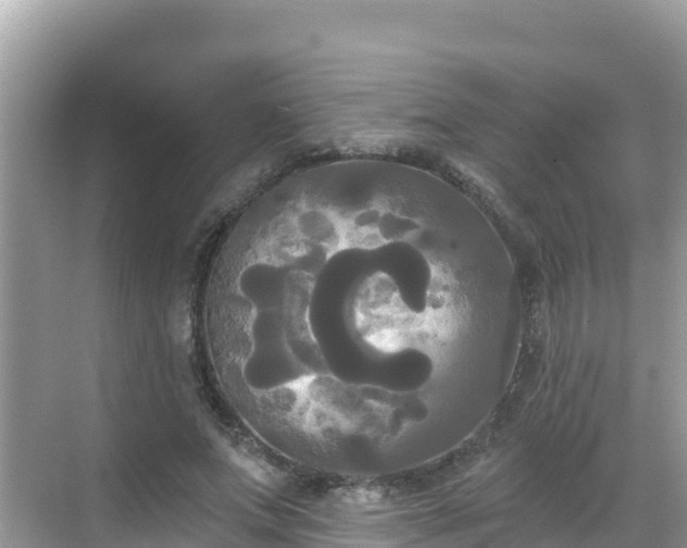 X0000068770687200605051632