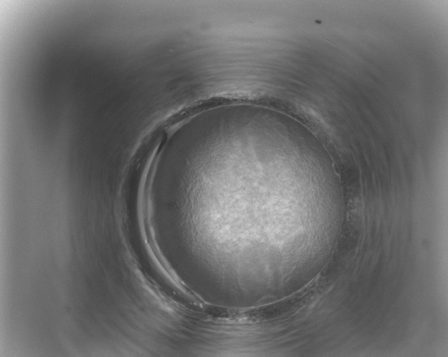 X0000068770688200605051632