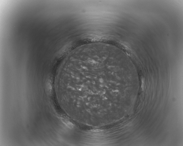 X0000068770691200605051632