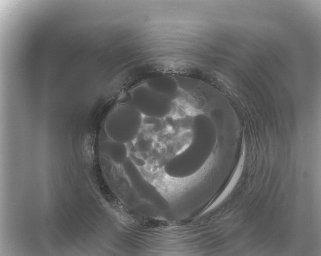 X0000068770695200605051632