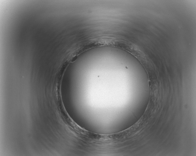 X0000068770696200605051632