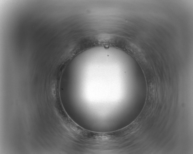 X0000068770698200605051632