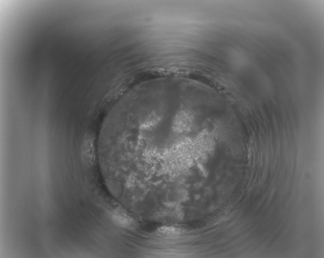 X0000068770699200605051632