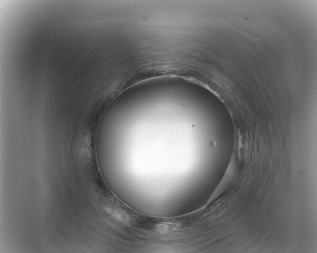 X0000068770700200605051632