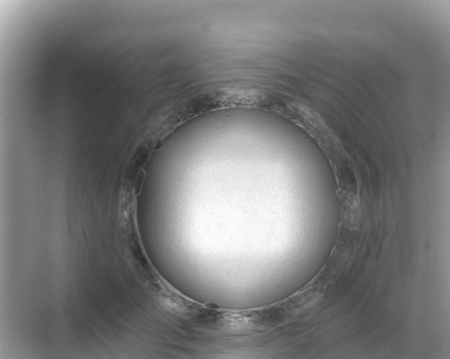 X0000068770701200605051632