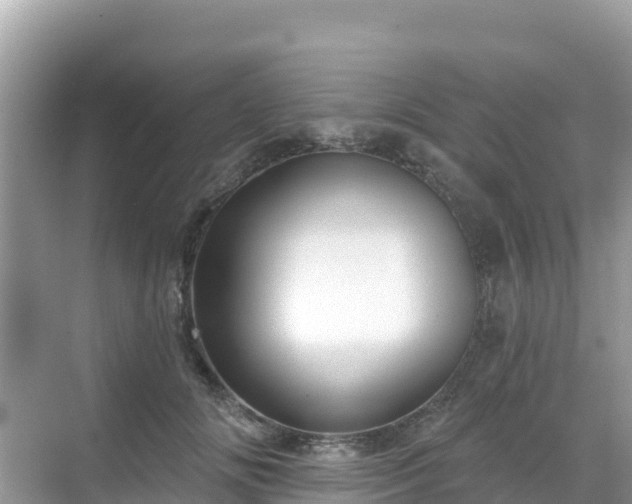 X0000068770702200605051632