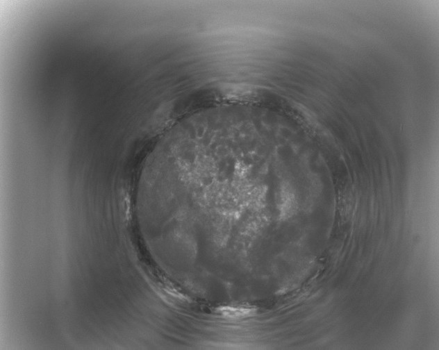 X0000068770703200605051632