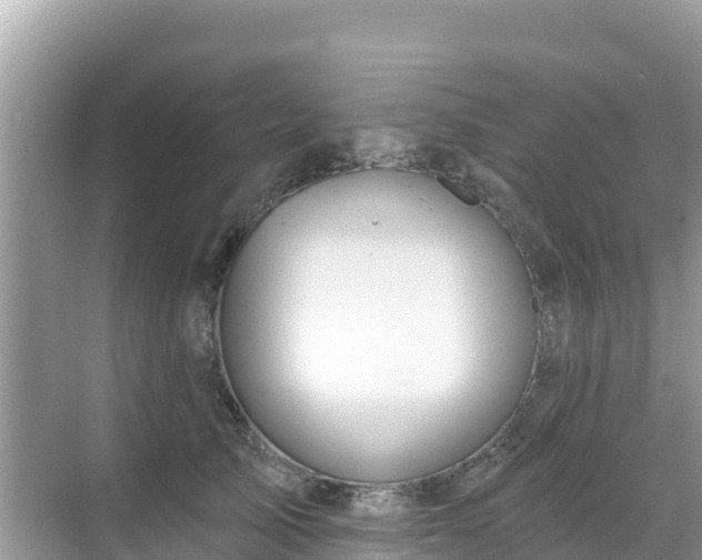 X0000068770705200605051632