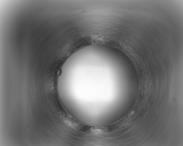 X0000068770706200605051632