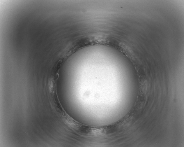 X0000068770709200605051632