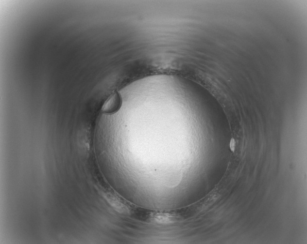 X0000068770710200605051632