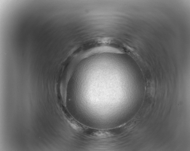 X0000068770712200605051632