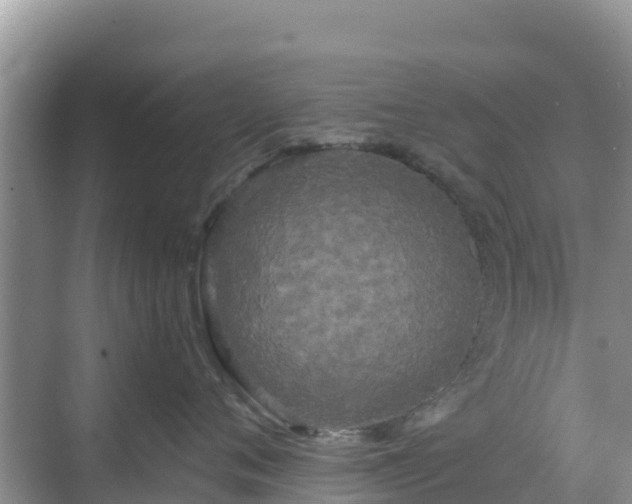 X0000068770720200605051631