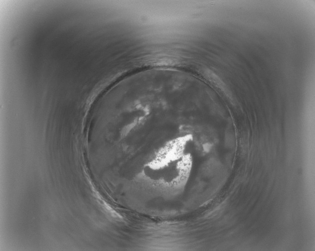 X0000068770721200605051631