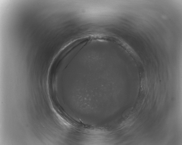 X0000068770722200605051631