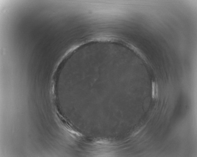 X0000068770723200605051631