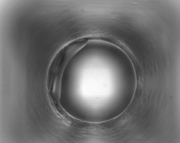 X0000068770724200605051631