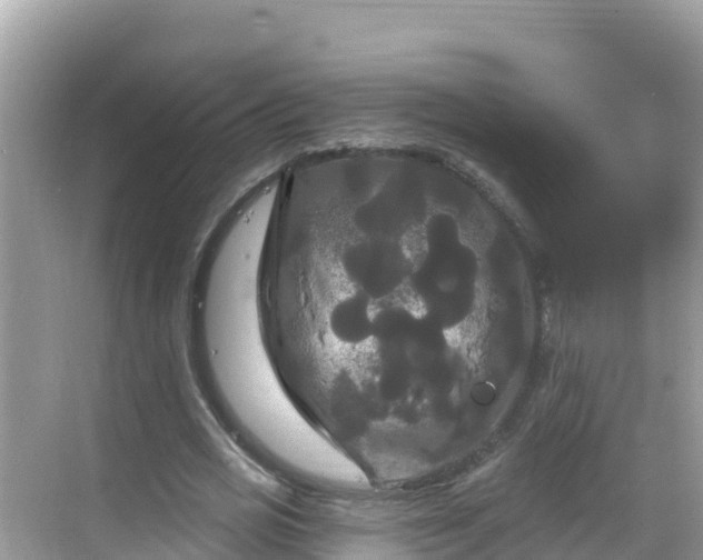 X0000068770725200605051631