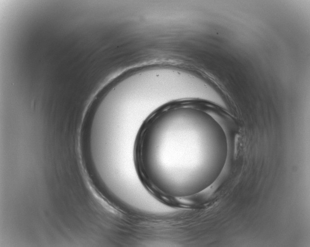 X0000068770726200605051631