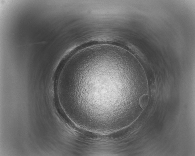 X0000068770727200605051631