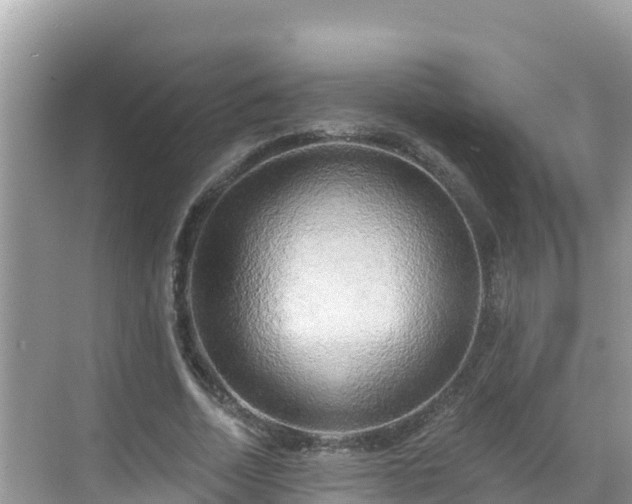 X0000068770730200605051631