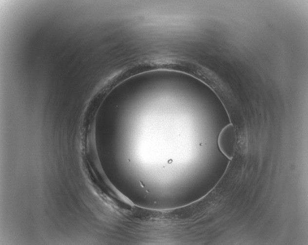 X0000068770732200605051631