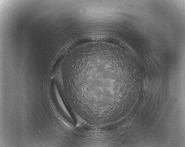 X0000068770733200605051631