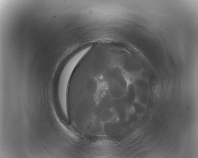 X0000068770734200605051631