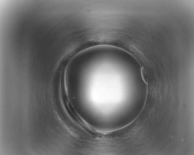 X0000068770735200605051631