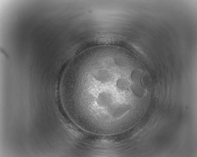 X0000068770737200605051631