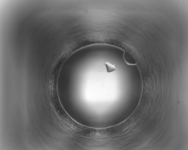 X0000068770739200605051631