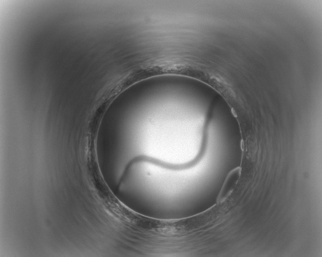 X0000068770740200605051631