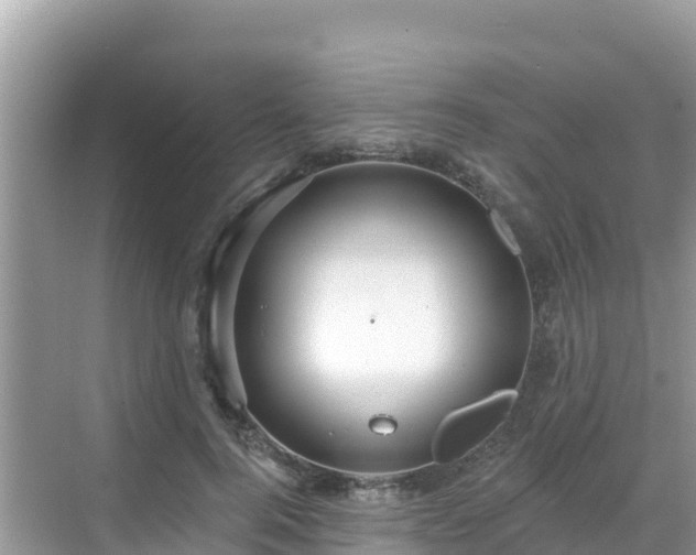 X0000068770744200605051631