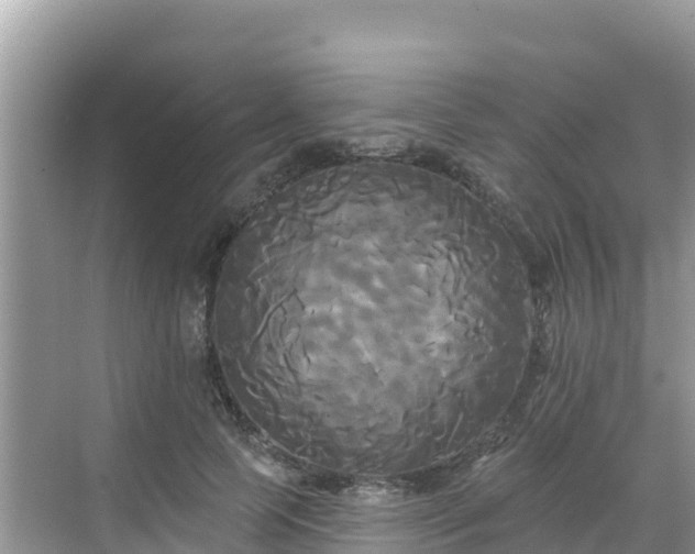 X0000068770745200605051631