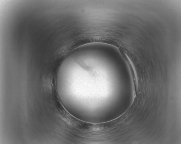 X0000068770746200605051631