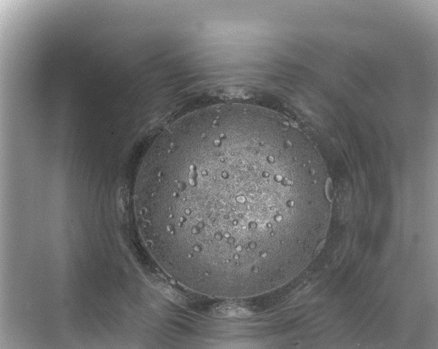 X0000068770747200605051631