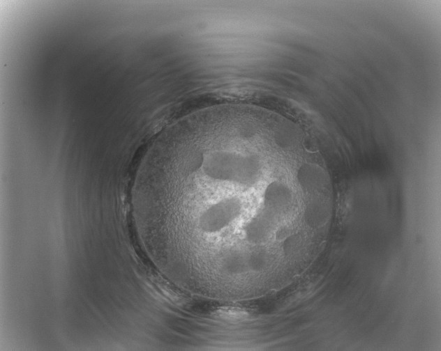 X0000068770749200605051631