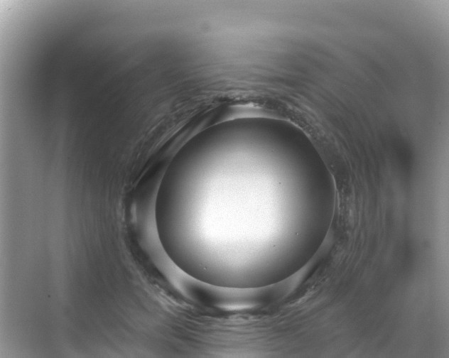 X0000068770750200605051631