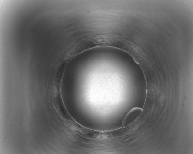 X0000068770751200605051631