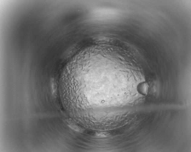 X0000068770753200605051631