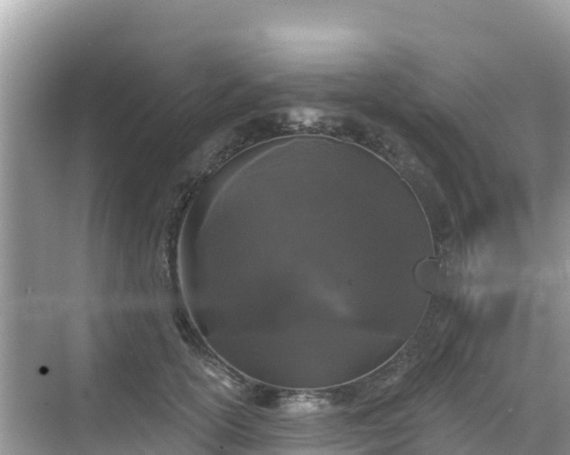 X0000068770754200605051631