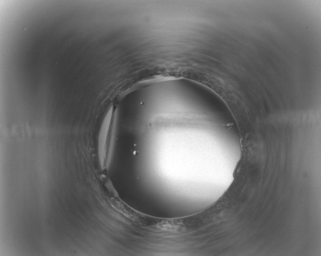 X0000068770756200605051631