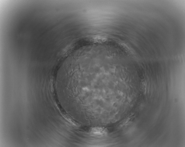 X0000068770757200605051631