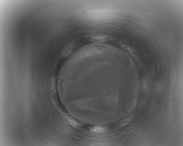 X0000068770759200605051631