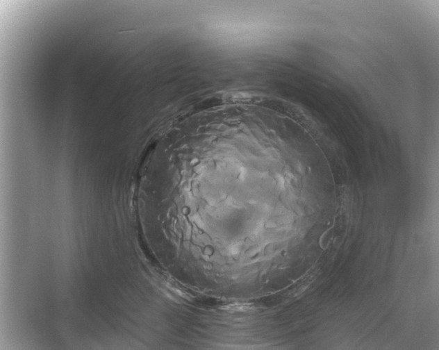 X0000068770761200605051631