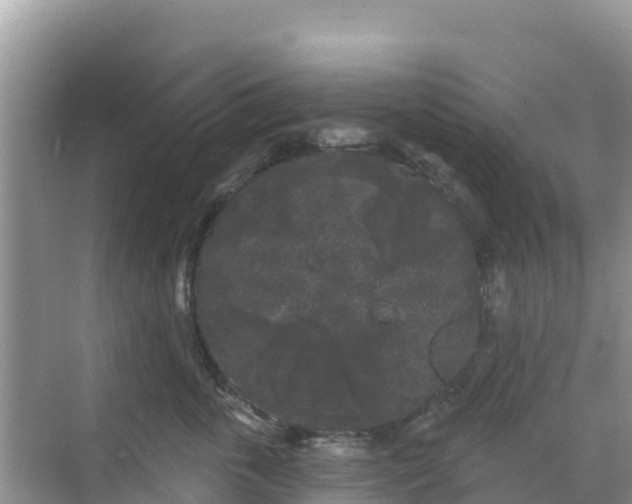 X0000068770763200605051631