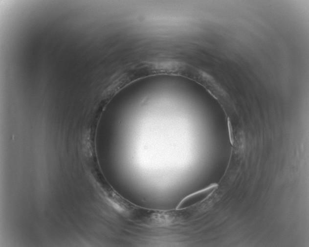 X0000068770764200605051631