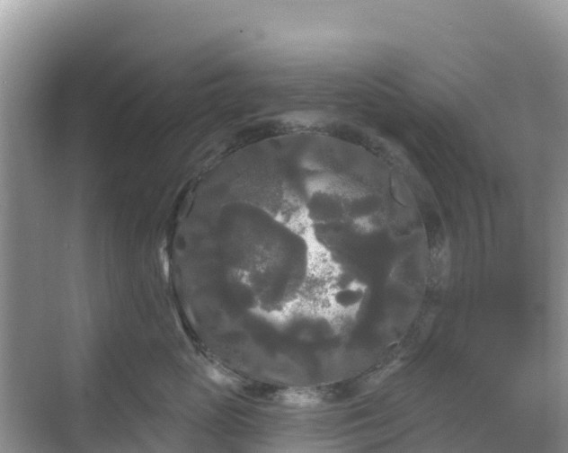 X0000068770765200605051631